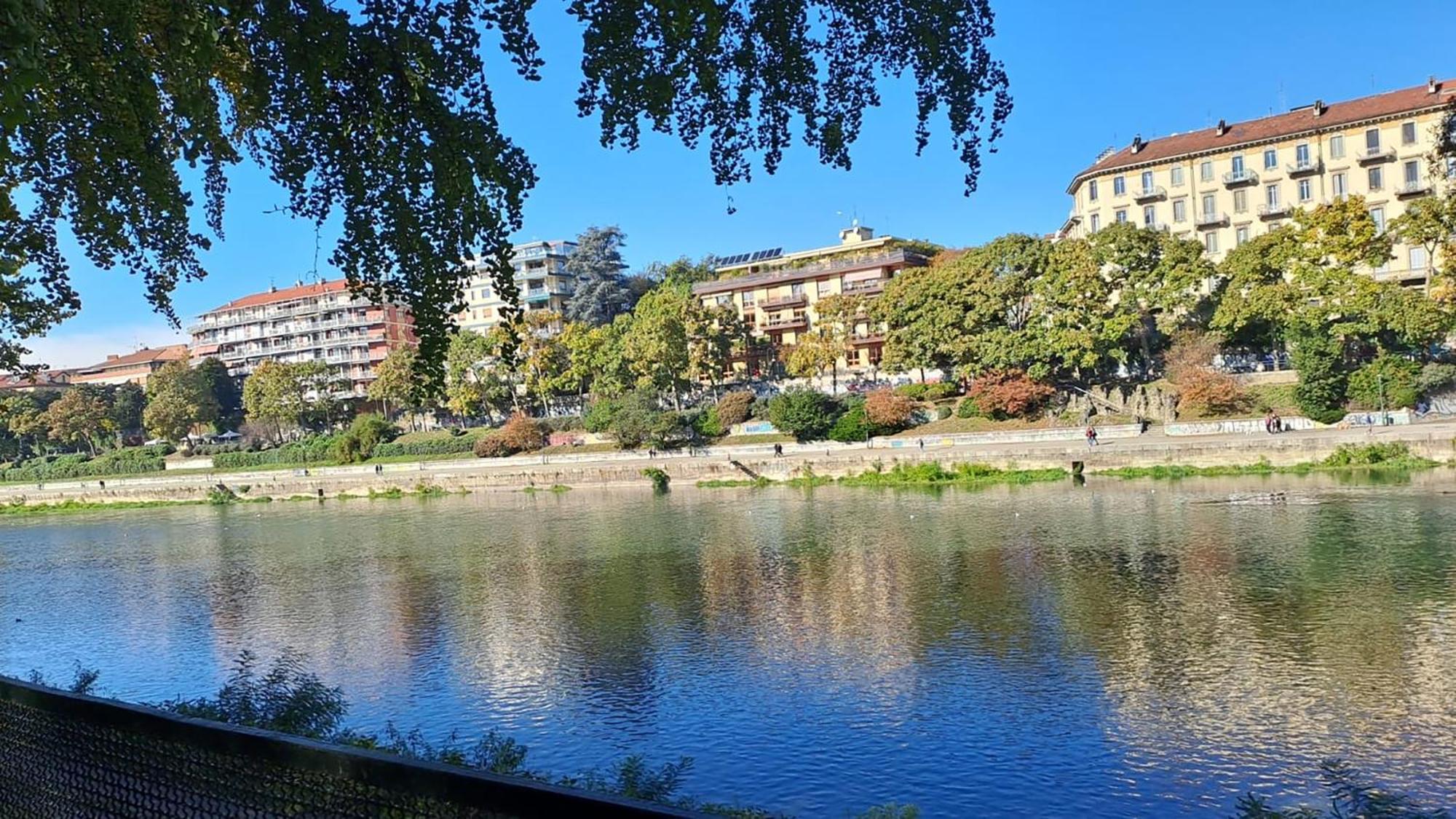 都灵La Terrazzina, Silenzioso, Zona Piazza Gran Madre公寓 外观 照片